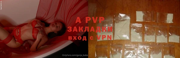 кокс Белокуриха
