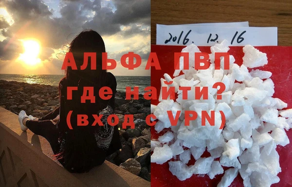 молекула духа Бердск