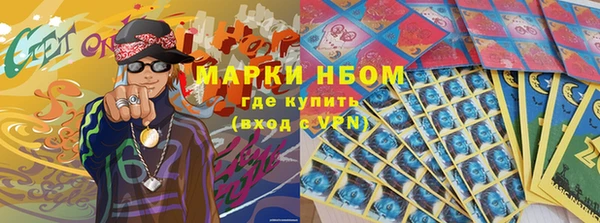 молекула духа Бердск