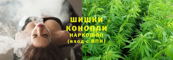 молекула духа Бердск