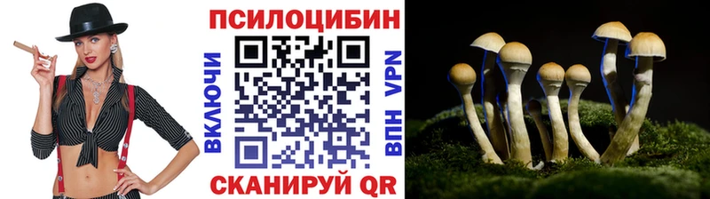 blacksprut зеркало  Катайск  Псилоцибиновые грибы ЛСД  купить наркотик 
